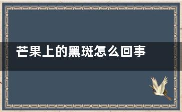 芒果上的黑斑怎么回事 芒果长黑斑是什么原因呢(芒果上面的黑斑)